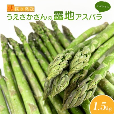 【朝採り発送】うえさかさんの露地アスパラ スペシャル 1.5kg【20101】