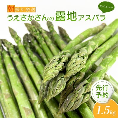 2026年 先行予約!【朝採り発送】うえさかさんの露地アスパラ スペシャル 1.5kg【20101】