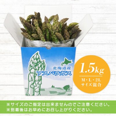 【朝採り発送】うえさかさんの露地アスパラ スペシャル 1.5kg【20101】