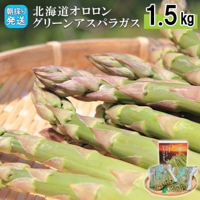 【朝採り発送】北海道オロロングリーンアスパラガス 1.5kg(露地物)【0410502】