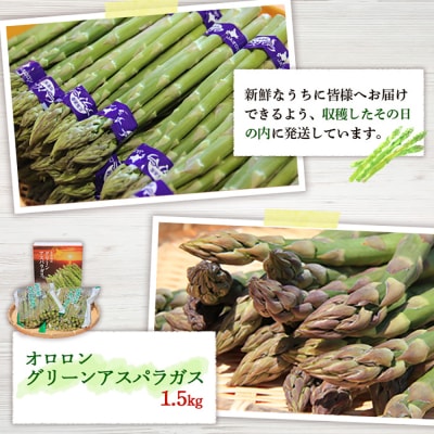 【朝採り発送】北海道オロロングリーンアスパラガス 1.5kg(露地物)【0410502】
