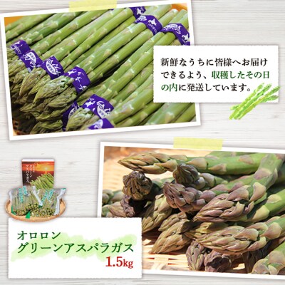 【朝採り発送】北海道オロロングリーンアスパラガス 1.5kg(露地物)【0410502】