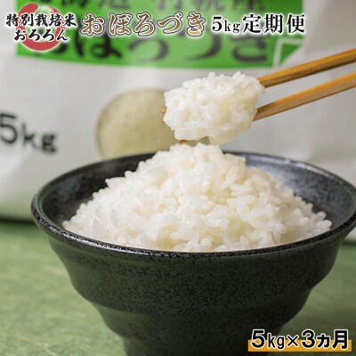 【定期便:3回】特別栽培米 おぼろづき5kg【0812602】