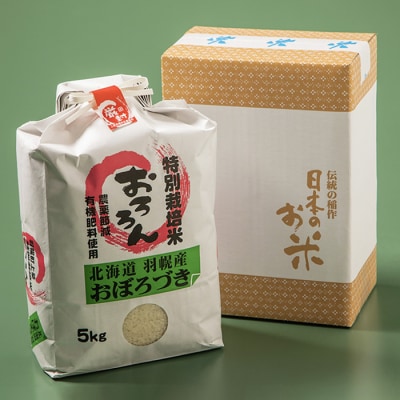 【2025年産】 【定期便:3回】 北海道羽幌産 特別栽培米 おぼろづき5kg【0812602】