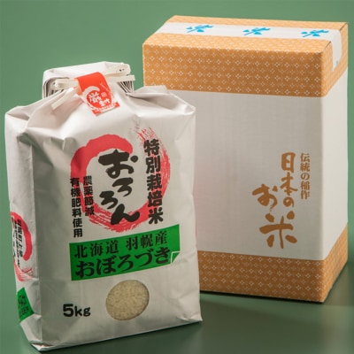 【定期便:3回】特別栽培米 おぼろづき5kg【0812602】