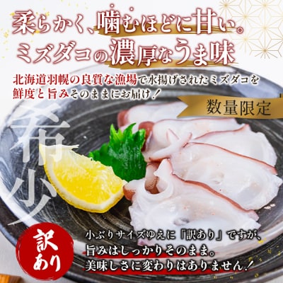 【訳あり】北海道羽幌産 刺身用たこ足小さめ (450～550g)【冷凍】【06114】