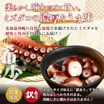 【訳あり】北海道羽幌産 刺身用たこ足小さめ (450～550g)【冷凍】【06114】