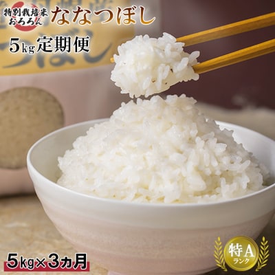 【定期便:3回】 特別栽培米 ななつぼし5kg【0812702】
