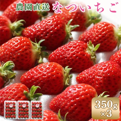 【数量限定】北海道羽幌産 なついちご1kg(350g×3)(2026年7月より発送)【15101】
