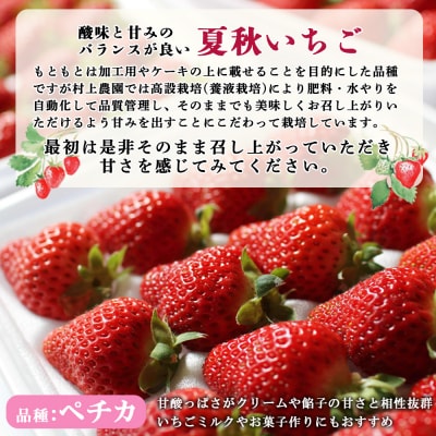 【数量限定】北海道羽幌産 なついちご1kg(350g×3)(2026年7月より発送)【15101】