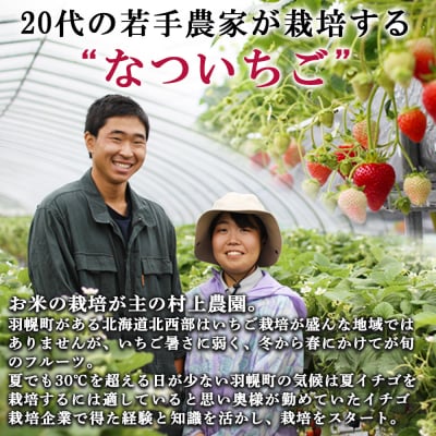 【数量限定】北海道羽幌産 なついちご1kg(350g×3)(2026年7月より発送)【15101】
