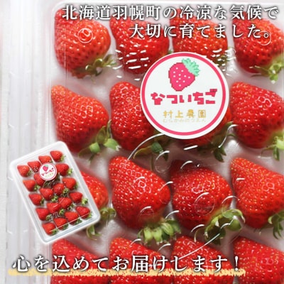 【数量限定】北海道羽幌産 なついちご1kg(350g×3)(2026年7月より発送)【15101】