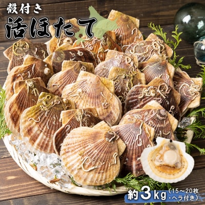 北海道羽幌町産 殻付き活ホタテ 約3kg(15～20枚・ヘラ付き)【0910205】