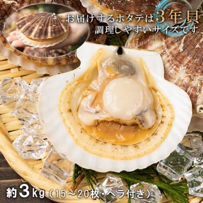 北海道羽幌町産 殻付き活ホタテ 約3kg(15～20枚・ヘラ付き)【0910204】