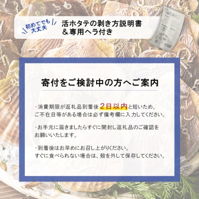 北海道羽幌町産 殻付き活ホタテ 約3kg(15～20枚・ヘラ付き)【0910205】