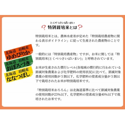 【2025年産】 北海道羽幌産 特別栽培米 おぼろづき10kg (5kg×2袋)【0812102】