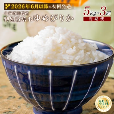 ★6月以降発送★【定期便:3回】 特別栽培米 ゆめぴりか5kg【0812502】