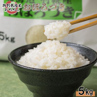 【2025年産】 北海道羽幌産 特別栽培米 おぼろづき5kg【0811802】