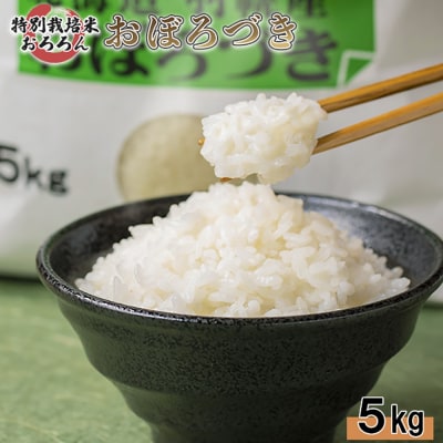 【2025年産】 北海道羽幌産 特別栽培米 おぼろづき5kg【0811802】