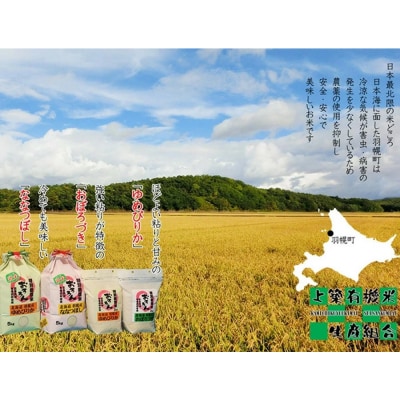 【2025年産】 北海道羽幌産 特別栽培米 おぼろづき5kg【0811802】