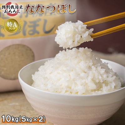 【2025年産】 北海道羽幌産 特別栽培米 ななつぼし10kg (5kg×2袋)【0812402】