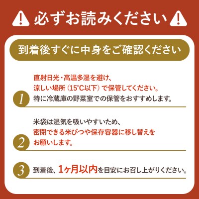 【2025年産】 北海道羽幌産 特別栽培米 ななつぼし10kg (5kg×2袋)【0812402】