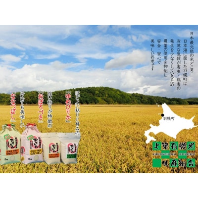 【2024年産】 北海道羽幌産 特別栽培米 ゆめぴりか10kg (5kg×2)【0812301】