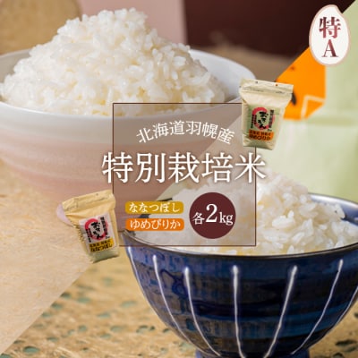 【2025年産】 北海道羽幌産 特別栽培米 ゆめぴりか・ななつぼし各2kgセット【0811702】