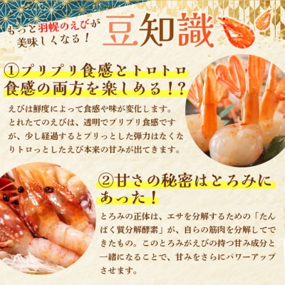 【訳あり】北海道羽幌産　ぼたんえび　300g入【06118】