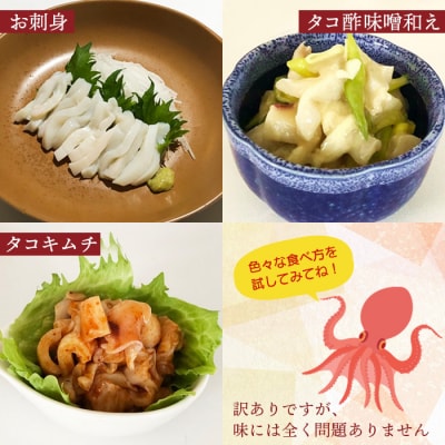【訳あり】北海道羽幌産 刺身用たこ頭 1～2個入(700g～800g)【冷凍】【06116】