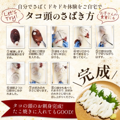 【訳あり】北海道羽幌産 刺身用たこ頭 1～2個入(700g～800g)【冷凍】【06116】