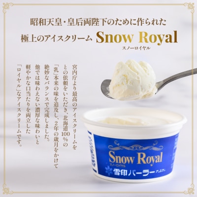 雪印パーラー スノーロイヤル 12個セット【2310104】