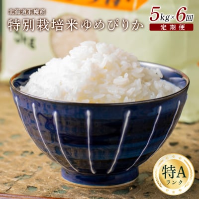 【定期便:6回】 特別栽培米 ゆめぴりか5kg【0811302】