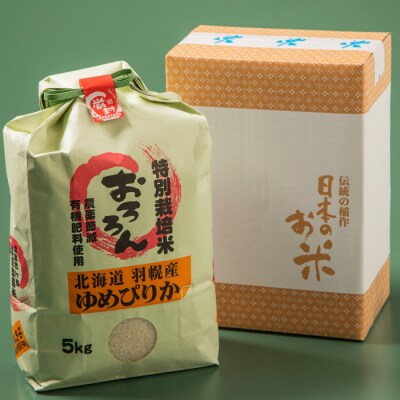 【定期便:6回】 特別栽培米 ゆめぴりか5kg【0811302】
