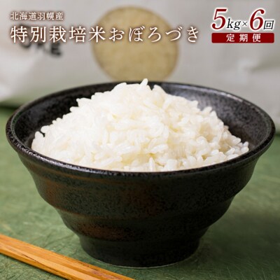【2025年産】 【定期便:6回】 北海道羽幌産 特別栽培米 おぼろづき5kg【0811402】