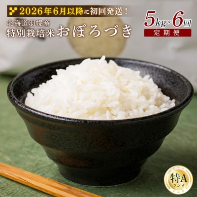 ★6月以降発送★【定期便:6回】特別栽培米 おぼろづき5kg【0811402】