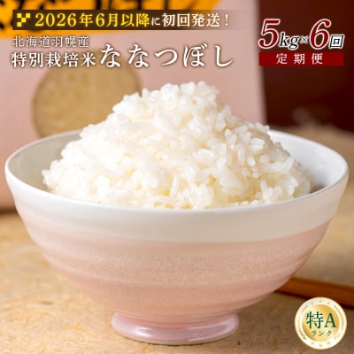 ★6月以降発送★【定期便:6回】特別栽培米 ななつぼし5kg【0811502】