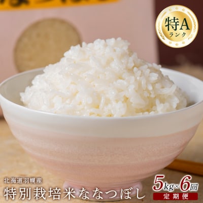【定期便:6回】特別栽培米 ななつぼし5kg【0811502】