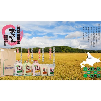 ★6月以降発送★【定期便:6回】特別栽培米 ななつぼし5kg【0811502】