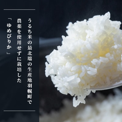 北海道産 特別栽培米 ゆめぴりか 5kg (無化学肥料・農薬不使用)【2510102】