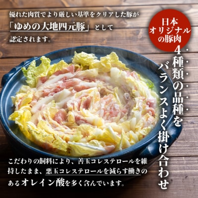 【北海道ブランド豚】「ゆめの大地」 豚バラスライス 200g×15パック【2700601】
