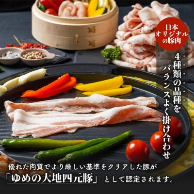 【北海道ブランド豚】「ゆめの大地」 バラエティセット(ロース・バラ)【2700901】