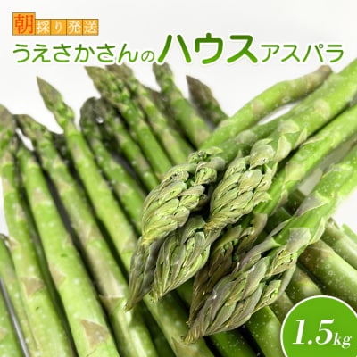【朝採り発送】上坂さんのハウスアスパラ 1.5kg【20102】
