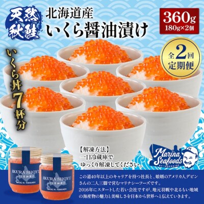 【定期便:2回】北海道産いくら醤油漬け360g(180g×2)【0212803】