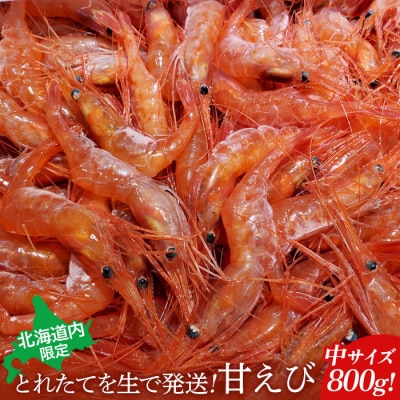 【北海道内限定】とれたてを生で発送! 甘えび800g(中サイズ以上)【0601301】