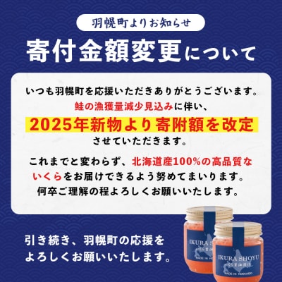 ★2025年新物★ 北海道産 天然秋鮭 いくら醤油漬け720g(180g×4)【0216001】