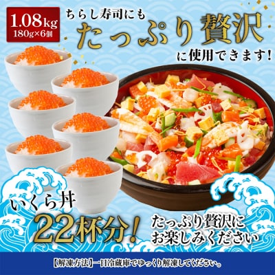 ★2025年新物★ 北海道産 天然秋鮭 いくら醤油漬け1.08kg(180g×6)【02161】