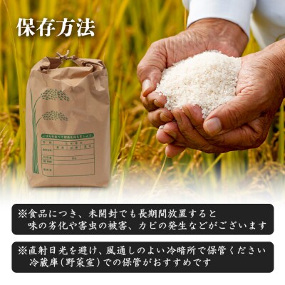 【新米予約】 2026年産 ゆめぴりか 20kg(5kg×4袋)【2010301】