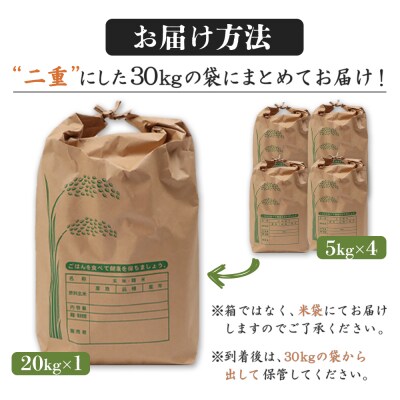 【新米予約】 2026年産 ゆめぴりか 20kg(5kg×4袋)【2010301】