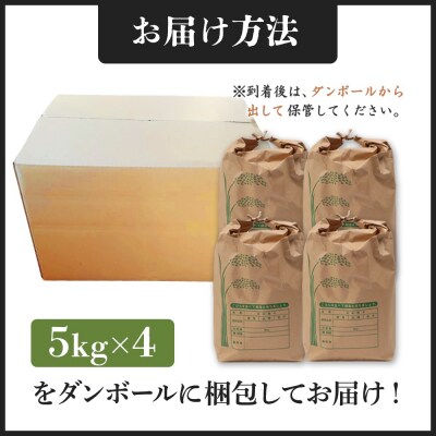 【新米予約】 2026年産 ゆめぴりか 20kg(5kg×4袋)【2010301】